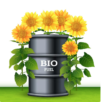 Biodiesel